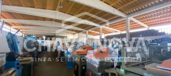 3200m² Warehouse in Sao Joao da Madeira, Portugal No. 63430 3