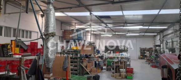 3200m² Warehouse in Sao Joao da Madeira, Portugal No. 63430 18