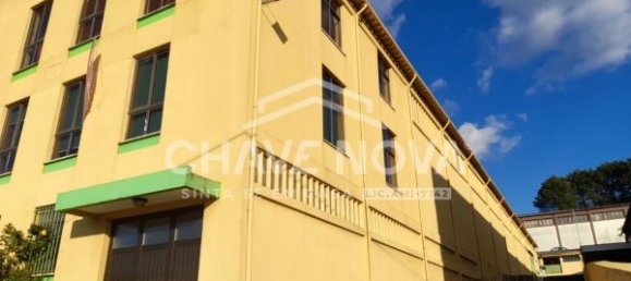 3200m² Warehouse in Sao Joao da Madeira, Portugal No. 63430 13