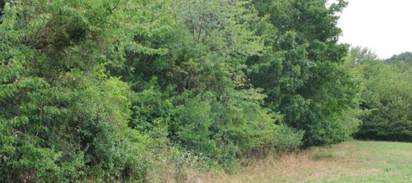 Terreno em Hinterbruhl, Austria 990 m² N.º 146518 3