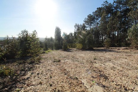 2320m² Land in Leiria, Portugal No. 71491