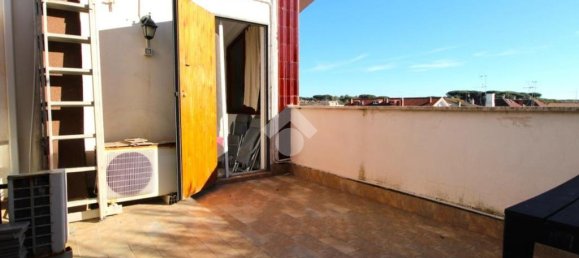 5 bedrooms Apartment in Ardea, Italy No. 46838 15