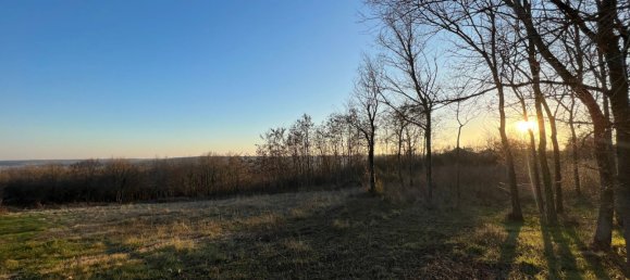 Terreno em Saint-Amand-Montrond, France 7930 m² N.º 93010 3