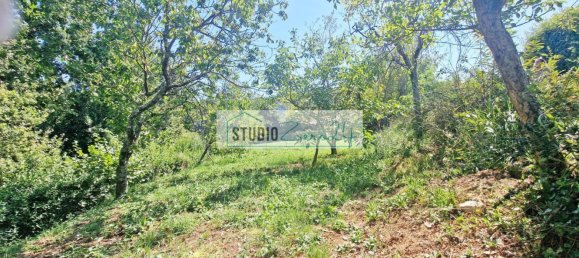 4 rooms Villa in Camaiore, Italy No. 304291 24