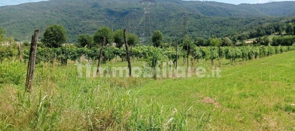  قطعة أرض في Nave, Italy 2900متر مربع رقم 355699 4