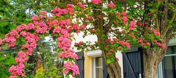 4 غرف نوم منزل في Saint-Arnoult-en-Yvelines, France رقم 166392 45