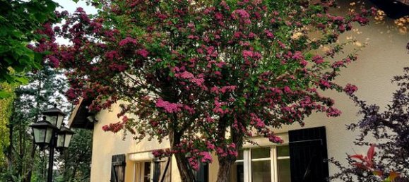 4 غرف نوم منزل في Saint-Arnoult-en-Yvelines, France رقم 166392 28