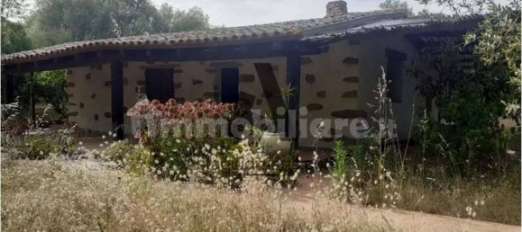 2 غرف نوم شقة في Olbia, Italy رقم 259337 41