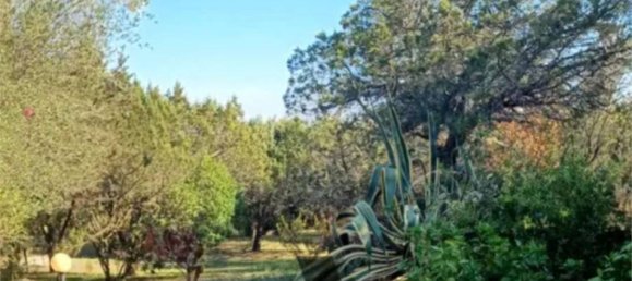 2 غرف نوم شقة في Olbia, Italy رقم 259337 14