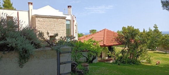 3 bedrooms Commercial property in Chalkidiki, Greece No. 2640 12