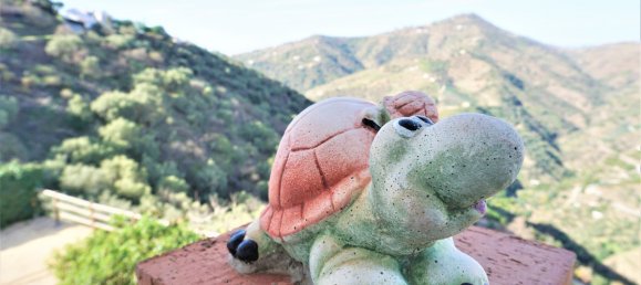 Casa de 5 dormitorios en Sayalonga, Spain No. 41948 30