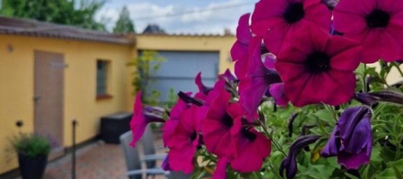 Таунхаус с 4 спальнями в Восточный Гольштейн, Германия № 45924 20