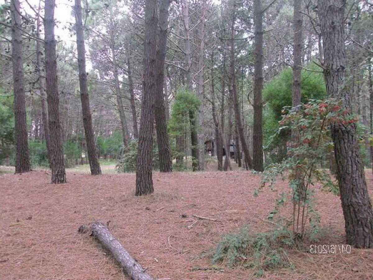 Grundstück in Mar del Plata, Argentina, Nr. 113493