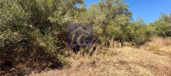 Terreno en Altavilla Milicia, Italy No. 365083 7