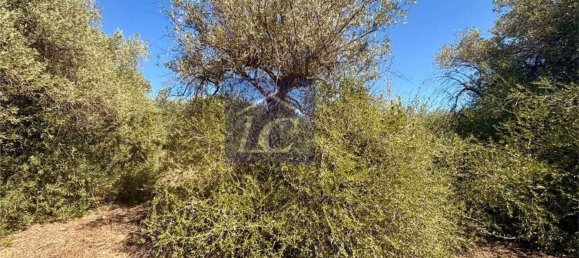 Terreno en Altavilla Milicia, Italy No. 365083 8