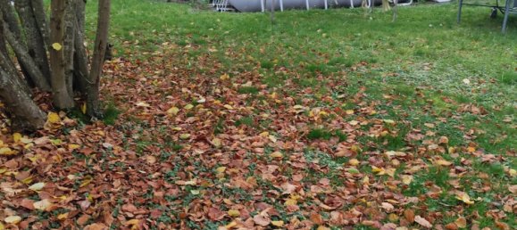 3 غرف نوم تاون هاوس في Faulquemont, France رقم 49136 6