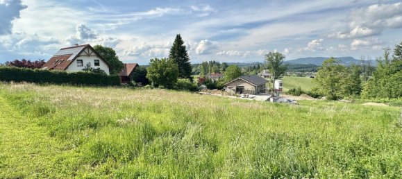  Land in Tillmitsch, Austria No. 130600 4