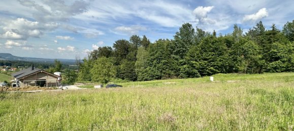  Land in Tillmitsch, Austria No. 130600 5