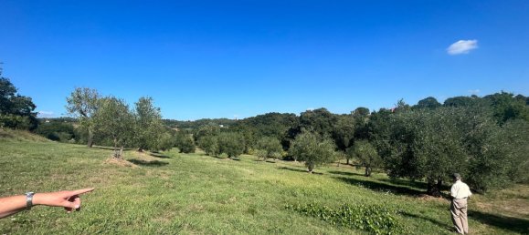 9 bedrooms House in Montecarlo, Italy No. 323861 5