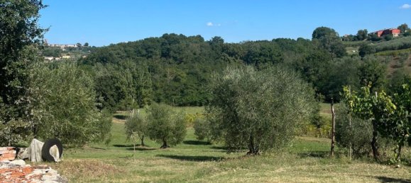 9 bedrooms House in Montecarlo, Italy No. 323861 10