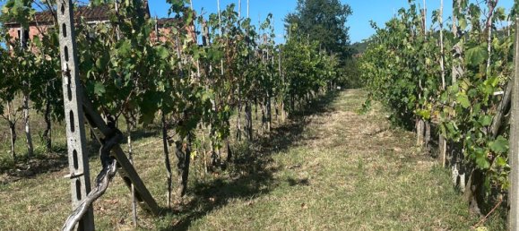 9 bedrooms House in Montecarlo, Italy No. 323861 2