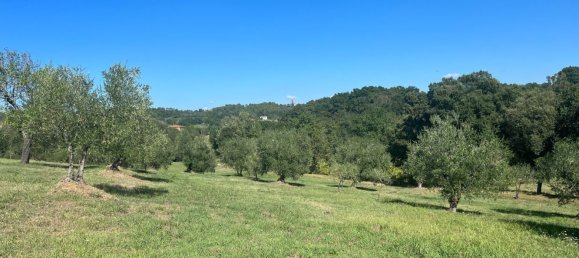 9 bedrooms House in Montecarlo, Italy No. 323861 4