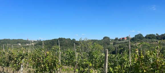 9 bedrooms House in Montecarlo, Italy No. 323861 9