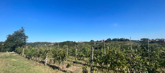 9 bedrooms House in Montecarlo, Italy No. 323861 8