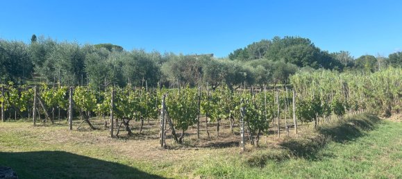 9 bedrooms House in Montecarlo, Italy No. 323861 15