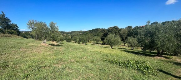 9 bedrooms House in Montecarlo, Italy No. 323861 6