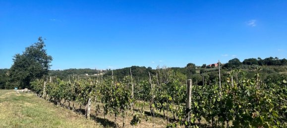 9 bedrooms House in Montecarlo, Italy No. 323861 7