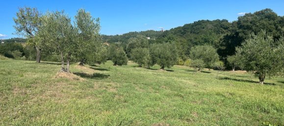 9 bedrooms House in Montecarlo, Italy No. 323861 3