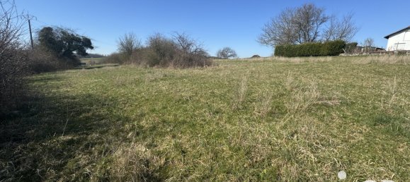 Terrain à Bibiche, France No. 236154 10