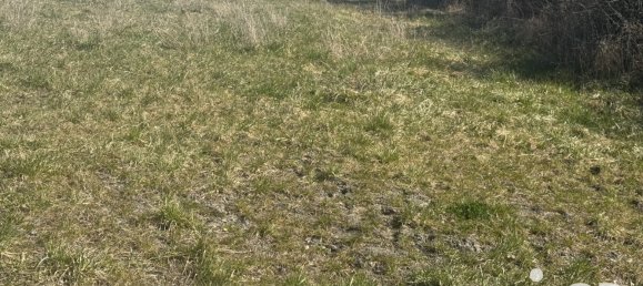 Terrain à Bibiche, France No. 236154 11