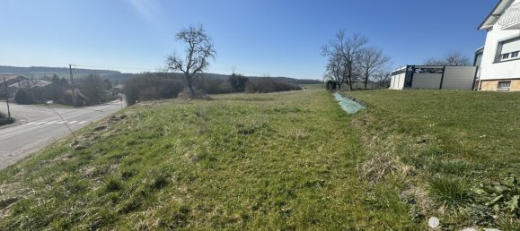 Terrain à Bibiche, France No. 236154 8