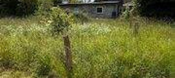  Land in Schleswig-Flensburg, Germany No. 358559 10