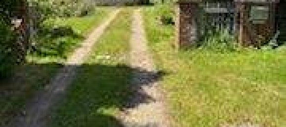  Land in Schleswig-Flensburg, Germany No. 358559 6