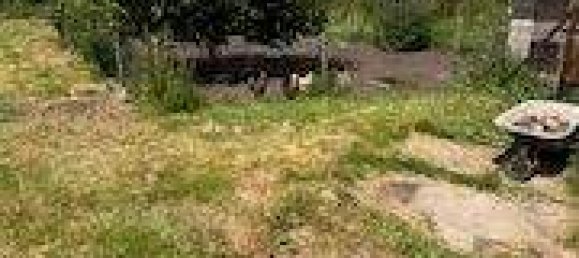  Land in Schleswig-Flensburg, Germany No. 358559 15