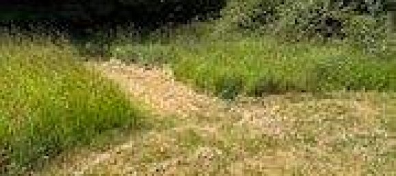  Land in Schleswig-Flensburg, Germany No. 358559 9