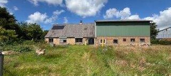  Land in Schleswig-Flensburg, Germany No. 358559 19