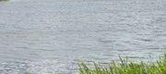  Land in Schleswig-Flensburg, Germany No. 358559 21