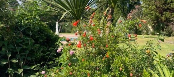 Imóvel comercial T3 em Chalkidiki, Greece N.º 53436 10