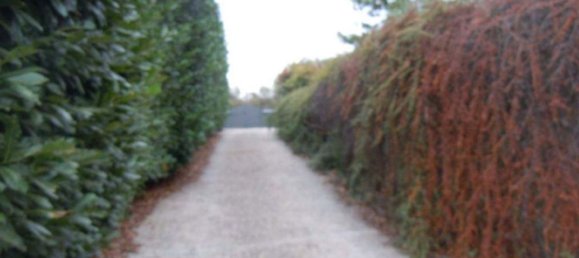 7 rooms Apartment in Castelnuovo di Porto, Italy No. 14539 2