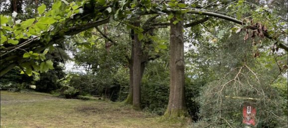 2 Schlafzimmer Haus in Aschaffenburg, Germany, Nr. 179710 6