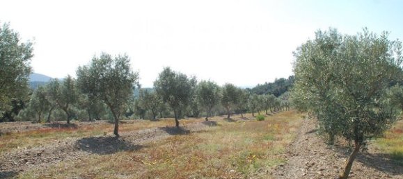 561m² Land in Garriguella, Spain No. 73530 2