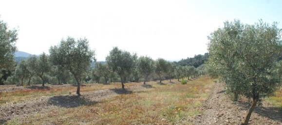 561m² Land in Garriguella, Spain No. 73530 28