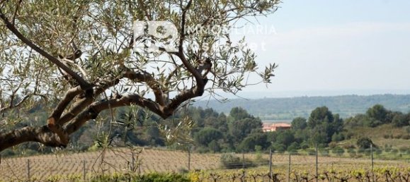561m² Land in Garriguella, Spain No. 73530 4