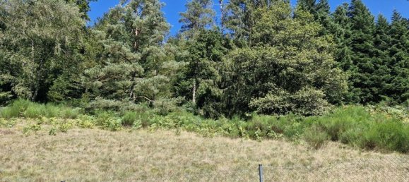 Земельный участок 1995м² в Ле Толи, Франция № 254182 4