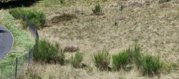 Земельный участок 1995м² в Ле Толи, Франция № 254182 8