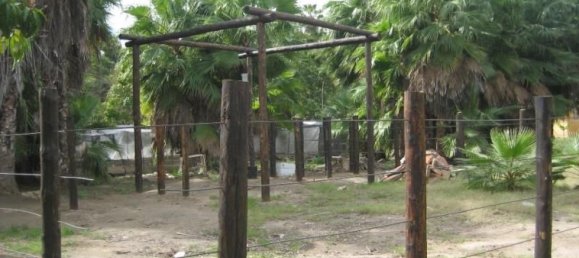 Земельный участок в Ла Пас, Мексика № 128975 2